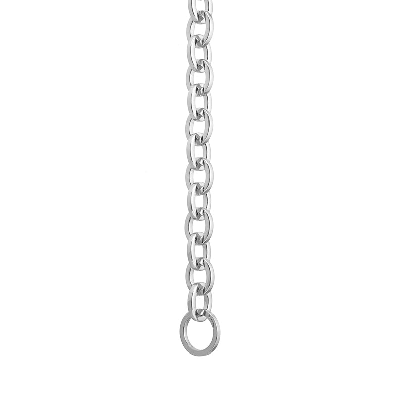 Silver-tone Bag Chain